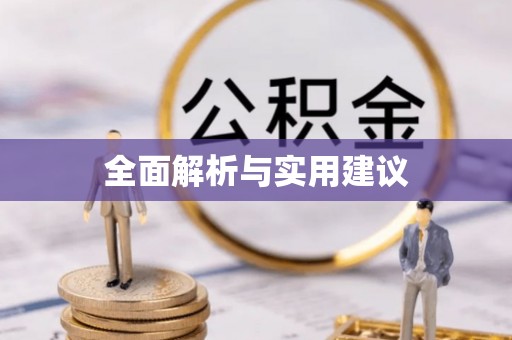 茅箭全面解析与实用建议
