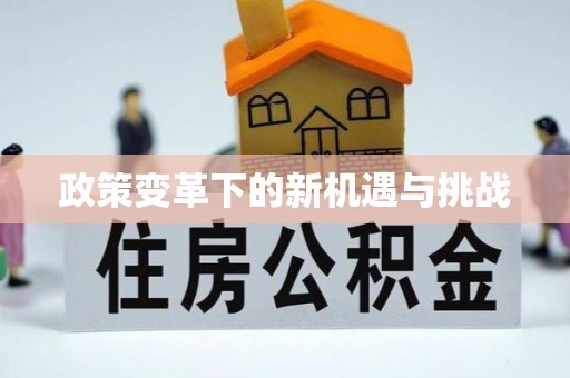 茅箭政策变革下的新机遇与挑战