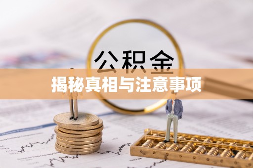 茅箭揭秘真相与注意事项