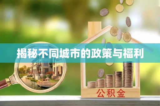 茅箭揭秘不同城市的政策与福利
