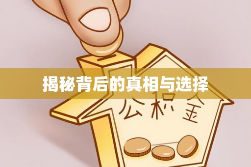 茅箭揭秘背后的真相与选择