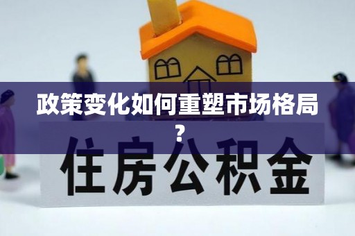 茅箭政策变化如何重塑市场格局？