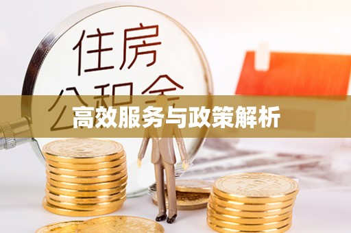 茅箭高效服务与政策解析