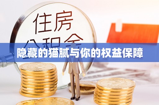 茅箭隐藏的猫腻与你的权益保障