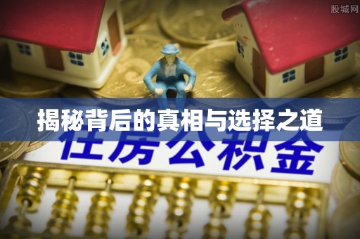 茅箭揭秘背后的真相与选择之道