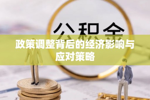 茅箭政策调整背后的经济影响与应对策略
