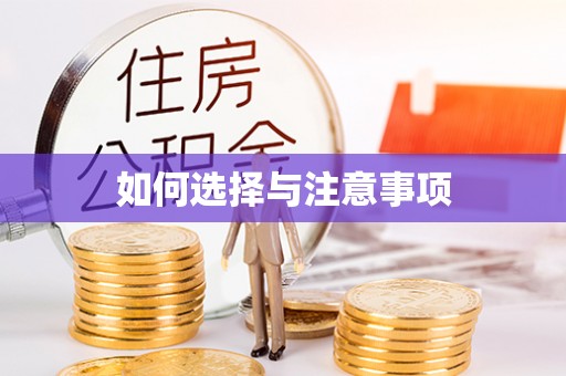 茅箭如何选择与注意事项