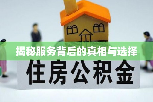 茅箭揭秘服务背后的真相与选择
