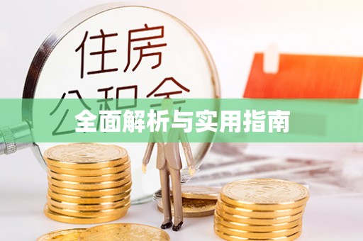 茅箭全面解析与实用指南