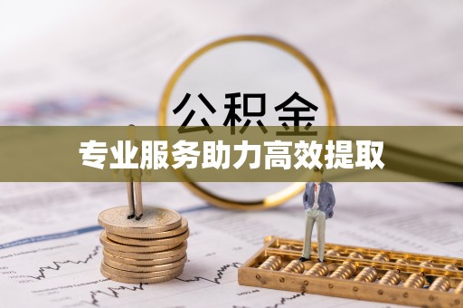 茅箭专业服务助力高效提取