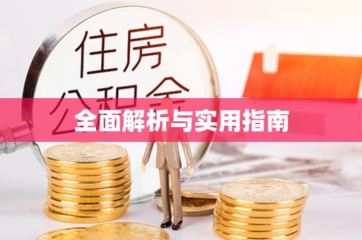 茅箭全面解析与实用指南